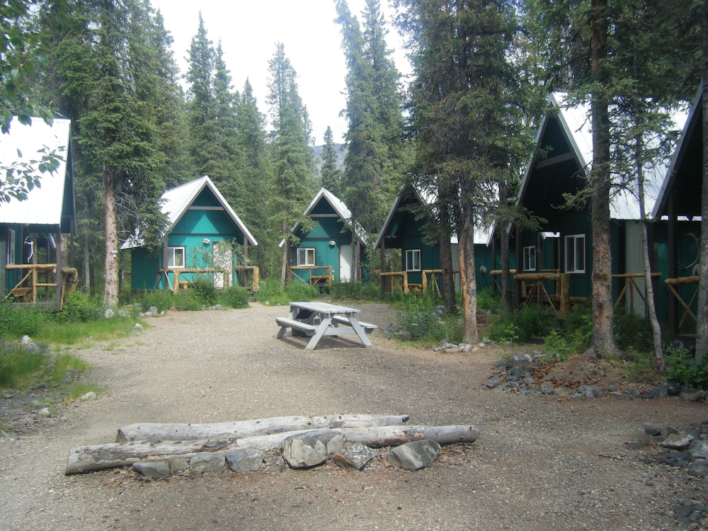 Denali Perch Resort - photo 38