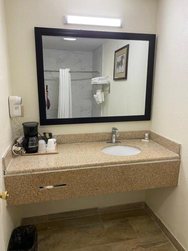 Palomino motel - photo 4