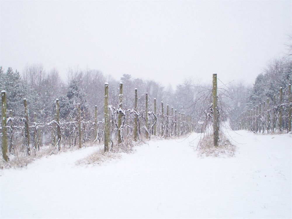 High Meadows Vineyard Inn - featured photo