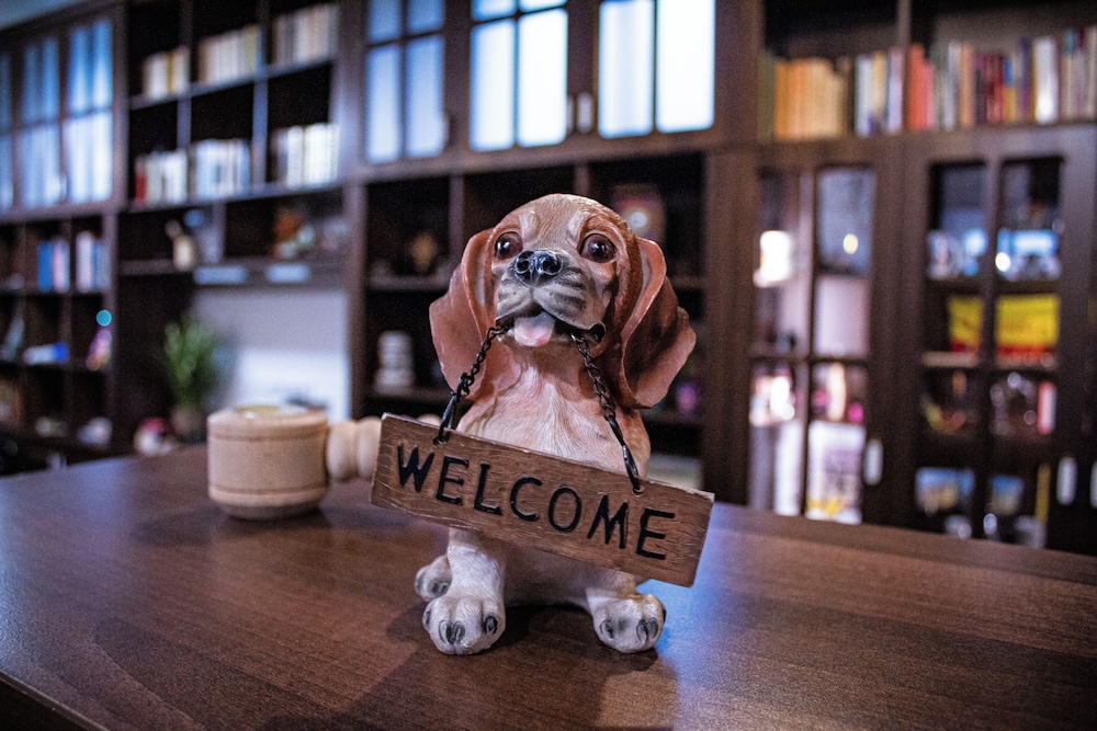 Hotel Claris Valiug — hotel in Valiug