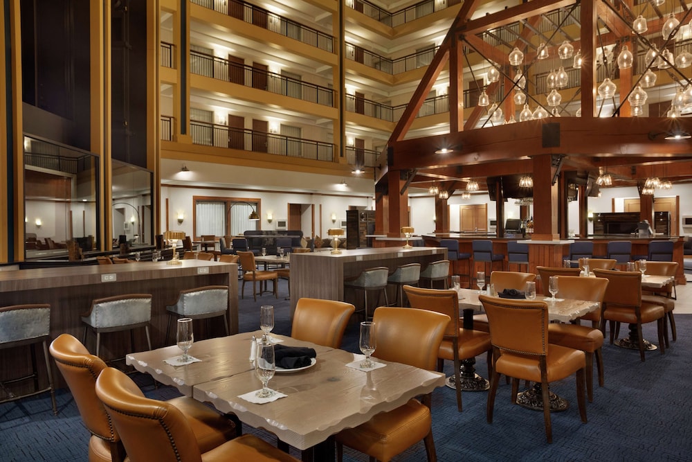 Embassy Suites by Hilton Denver International Airport - photo 41