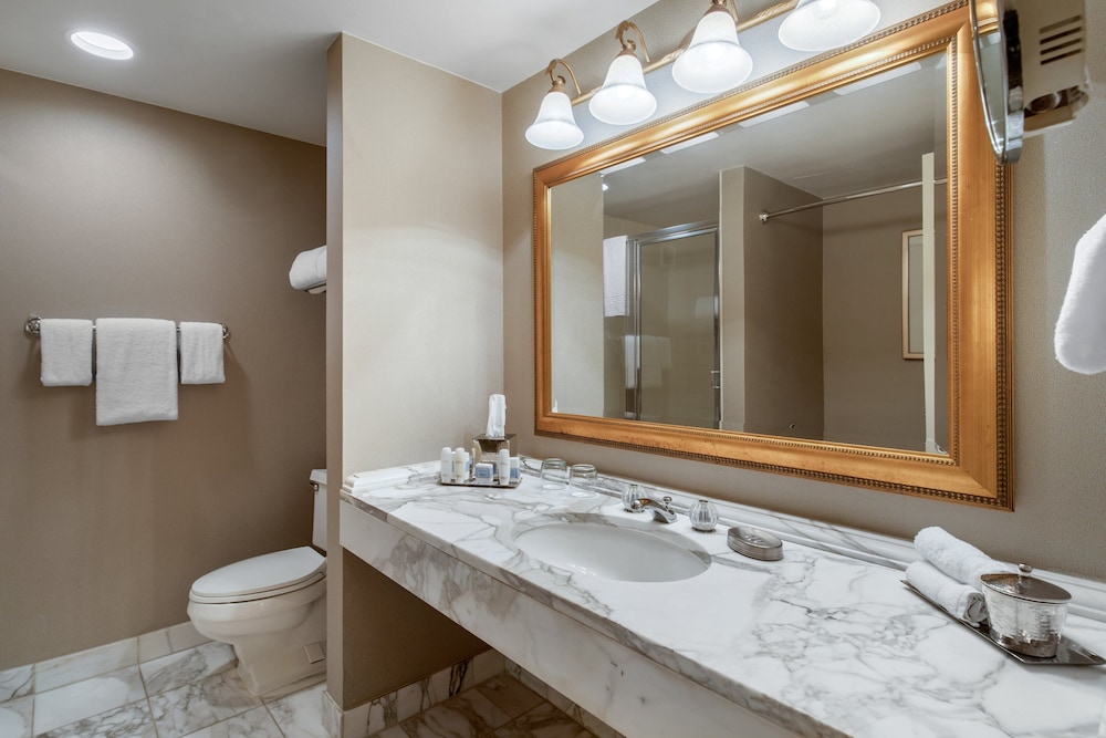 Omni Las Colinas Hotel - photo 76
