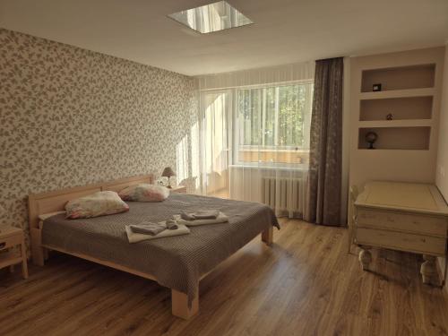 Čiurlionis Apartment Druskininkai — 4-Star Luxury Hotel in Druskininkai, Lithuania
