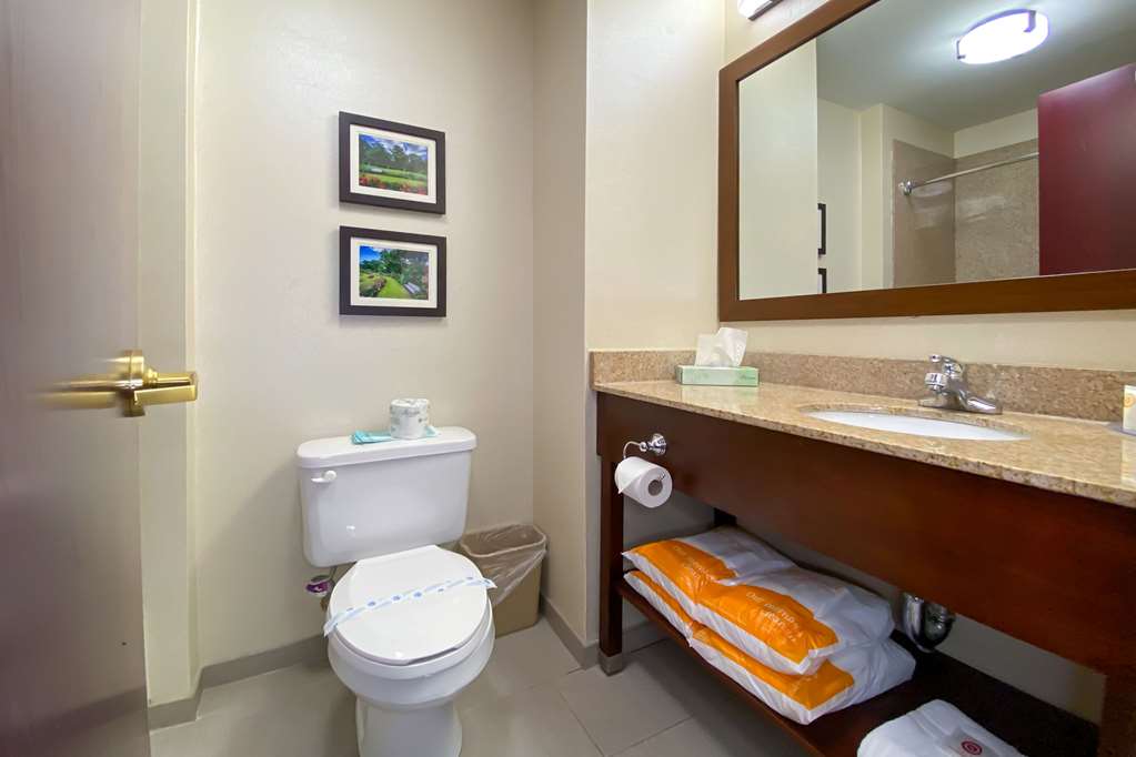 Comfort Inn East Windsor Springfield - photo 18