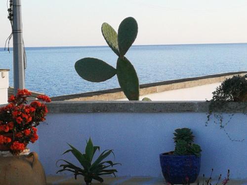 Villetta baiasalento — 4-Star Luxury Hotel in Patu, Italy