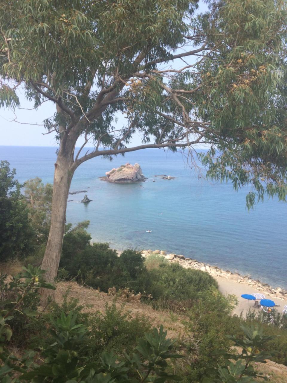 Andromeda Beach House