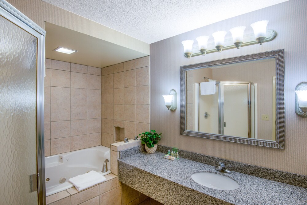 Holiday Inn Riverton by IHG - photo 12