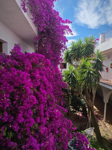 El Penell Estudi Mestral — hotel in Vilamaniscle