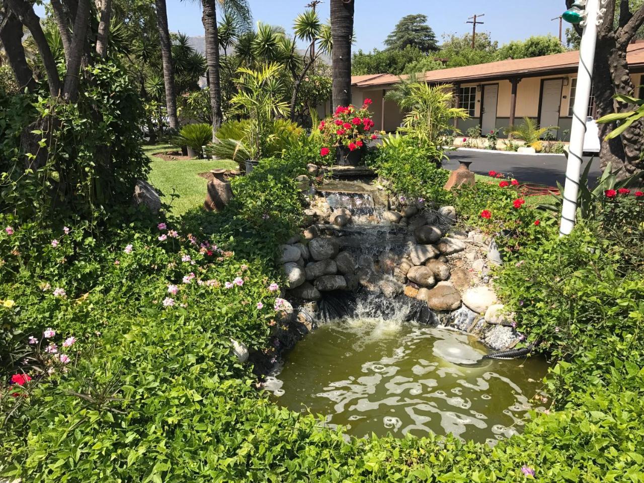 Palm Tropics Motel - photo 10