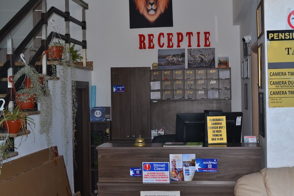 Live Tulcea in Tulcea, Romania