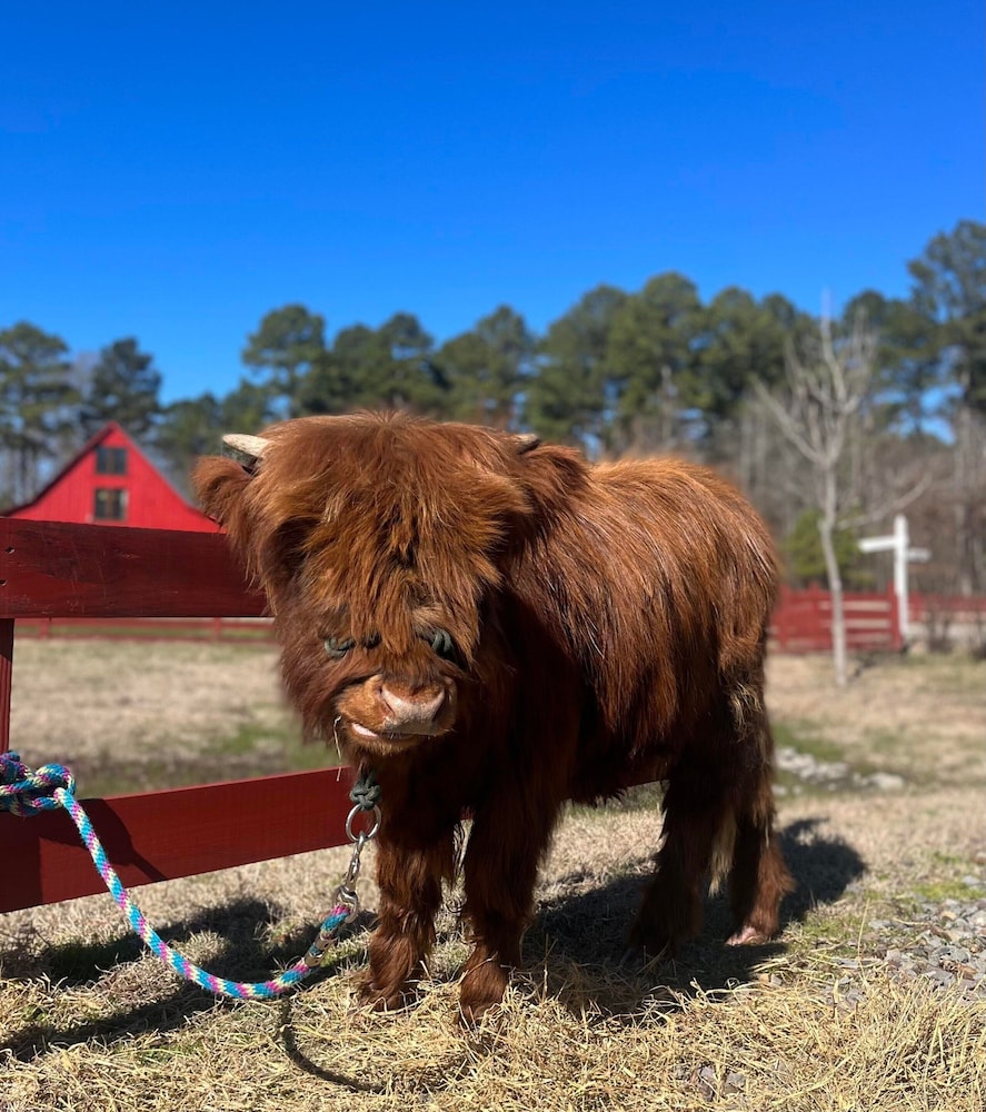 Coulter Farmstead - photo 107