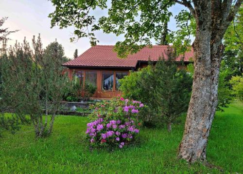 Ferienhaus Rehpfad Im Feriendorf Reichenbach 20 — Nesselwang
