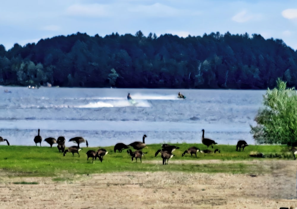 Island Pond Country Inn - photo 55