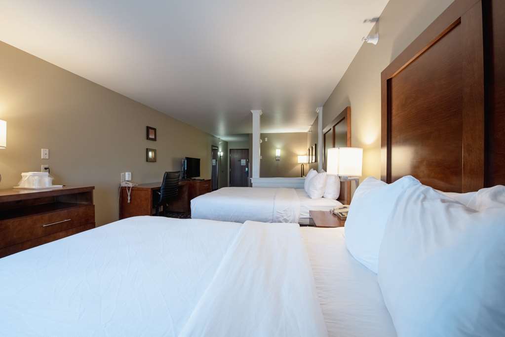 Comfort Inn & Suites Alamosa - photo 58