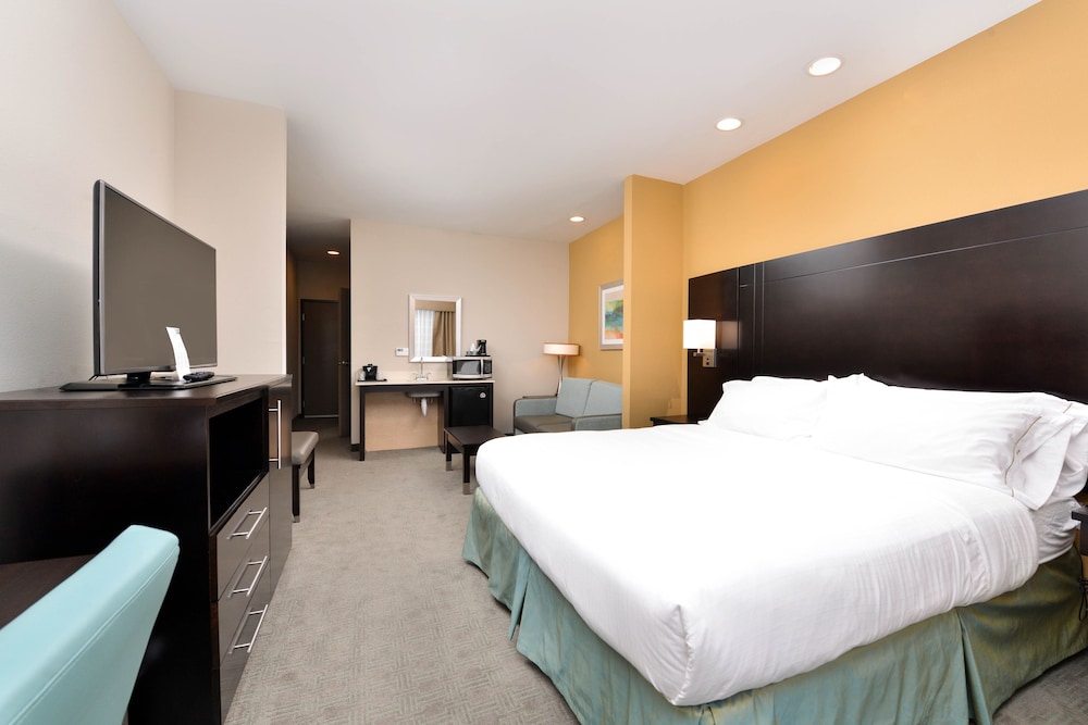 Holiday Inn Express & Suites Austin South by IHG - photo 9
