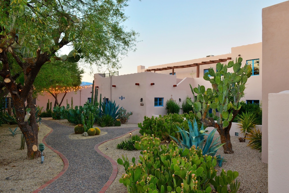 Lodge on the Desert - photo 98