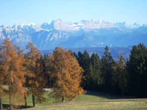 Chalet am Waldrand — Verano — photo 4