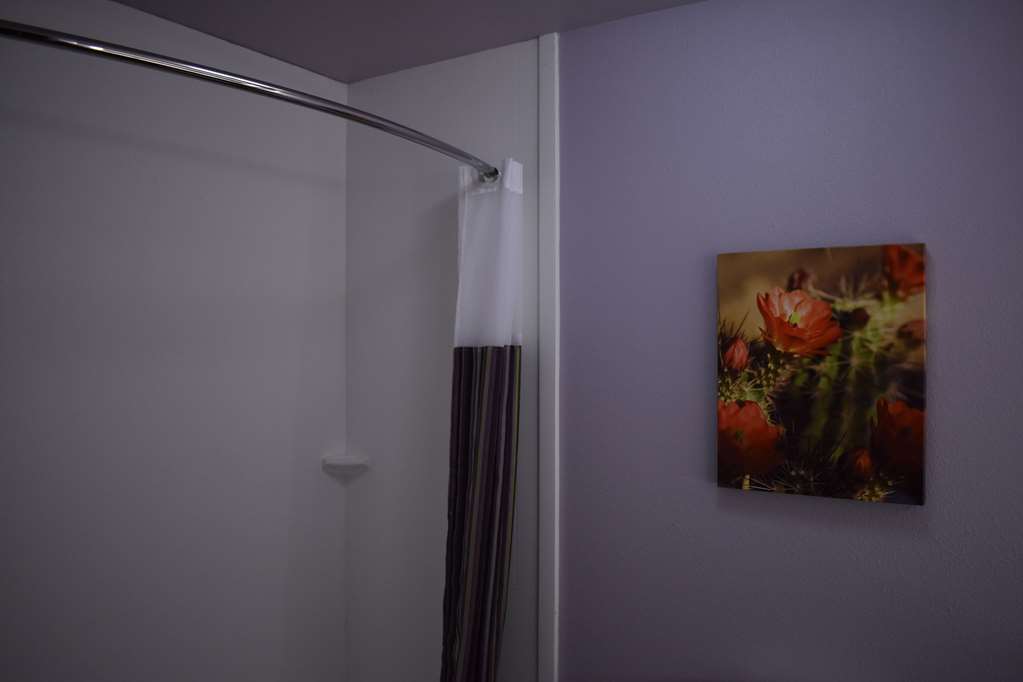 La Quinta Inn & Suites by Wyndham Flagstaff East I - photo 19