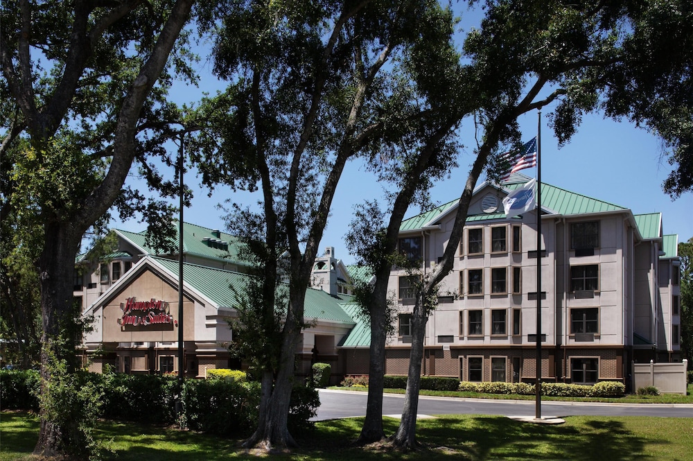 Hampton Inn & Suites Tampa North - photo 64