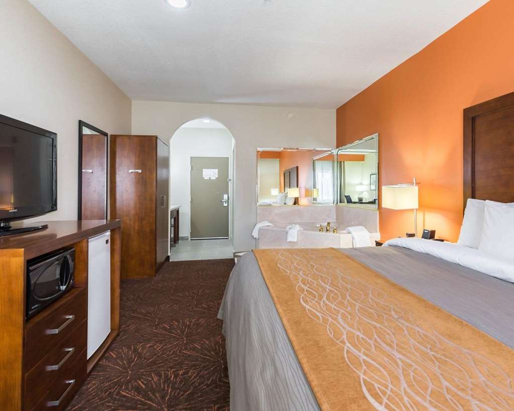Econo Lodge Inn & Suites East - photo 31