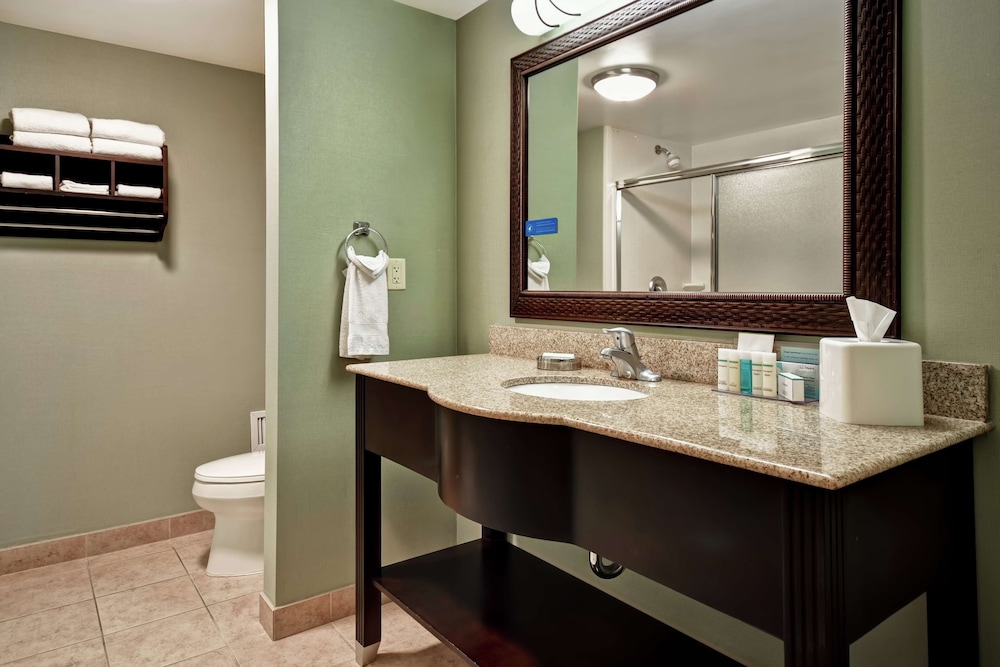 Hampton Inn & Suites Detroit Canton - photo 56