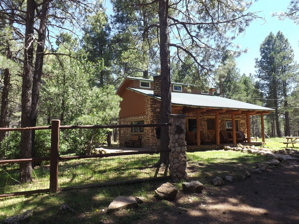Arizona Mountain Inn and Cabins - photo 267