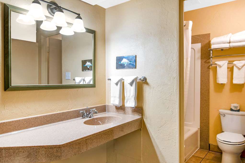 Econo Lodge Inn & Suites Durango - photo 17