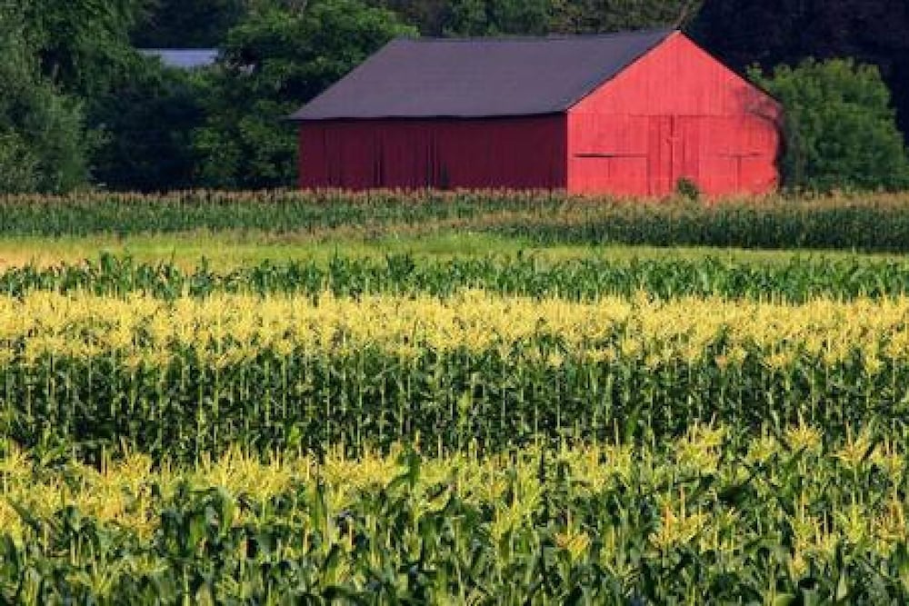 Amherst Country Oasis Perfect Location Umass — hotel in Hadley