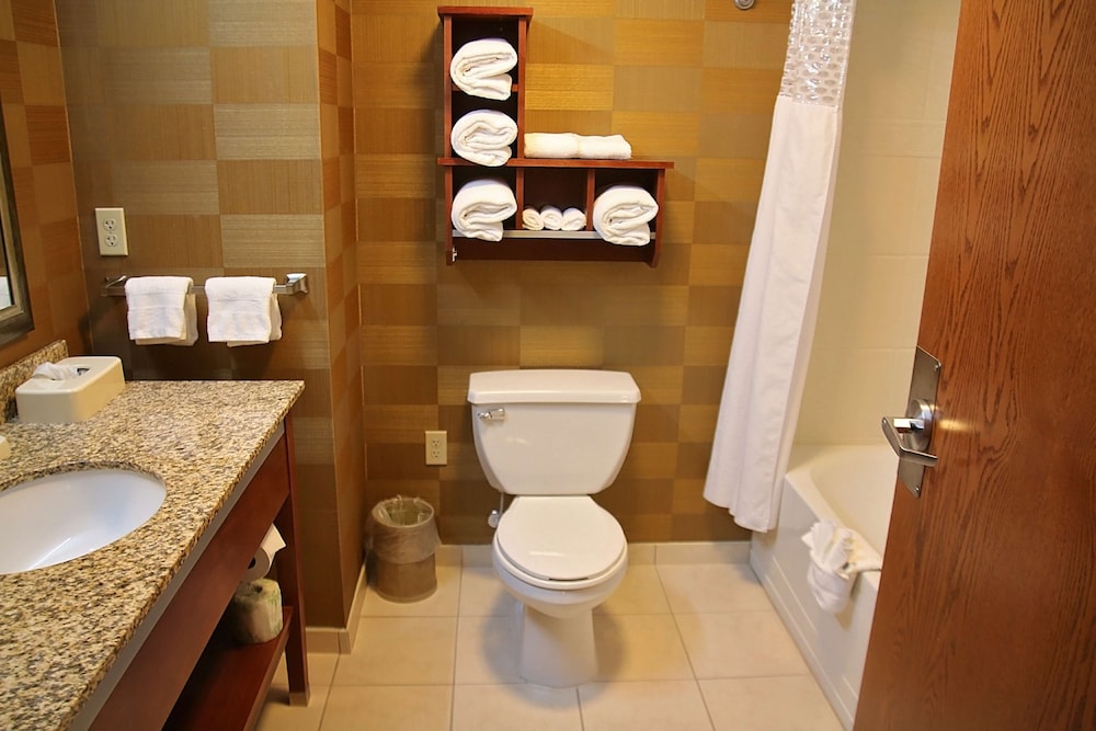 Hampton Inn Detroit Auburn Hills North - photo 31