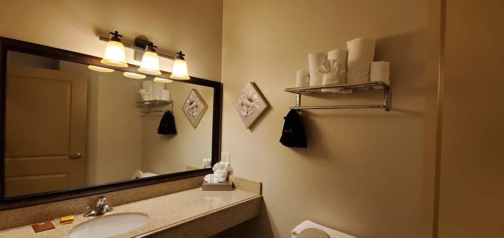 Best Western Plus Emory At Lake Fork Inn & Suites - photo 17