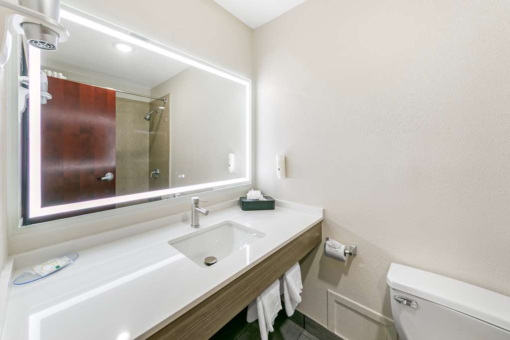 Quality Inn & Suites Sacramento Downtown Area - photo 5