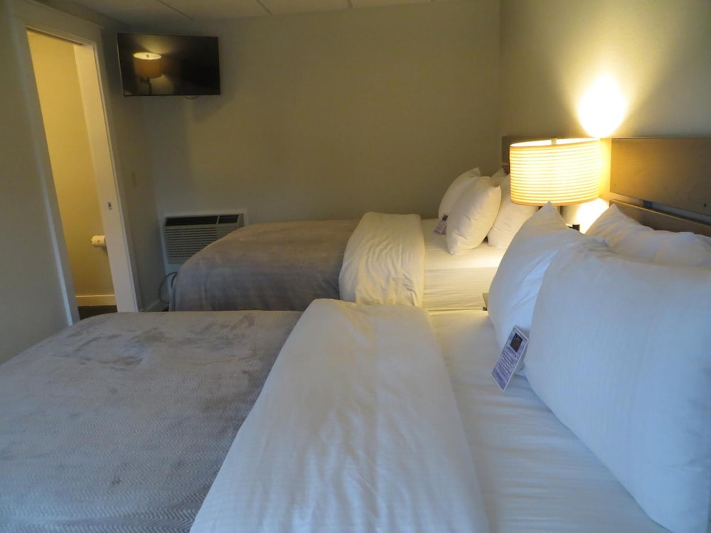 Brio Beach Inn - photo 17