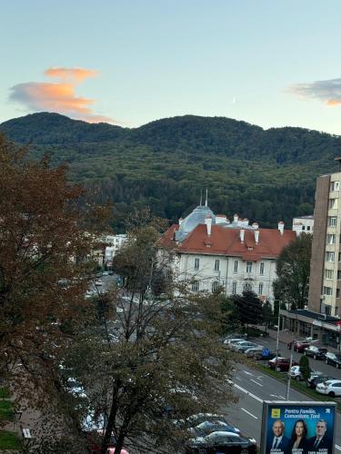 CentraLuxury — 4-Star Luxury Hotel in Piatra Neamt, Romania