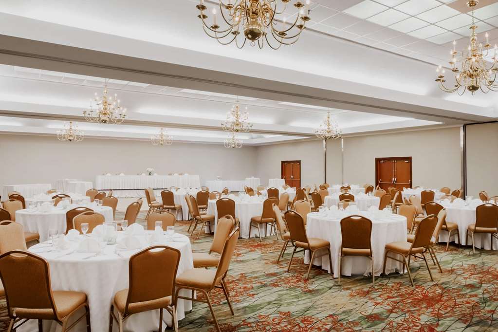 Wyndham Garden Hotel Austin - photo 16