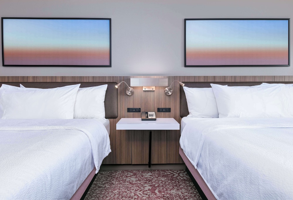 Hilton Garden Inn Dallas Arlington - photo 12