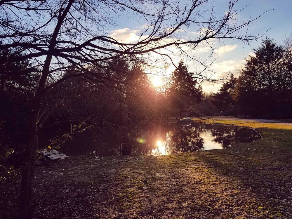 Savannah's Meadow - photo 5