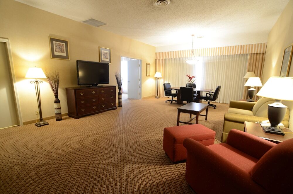 Hotel Ava - photo 11