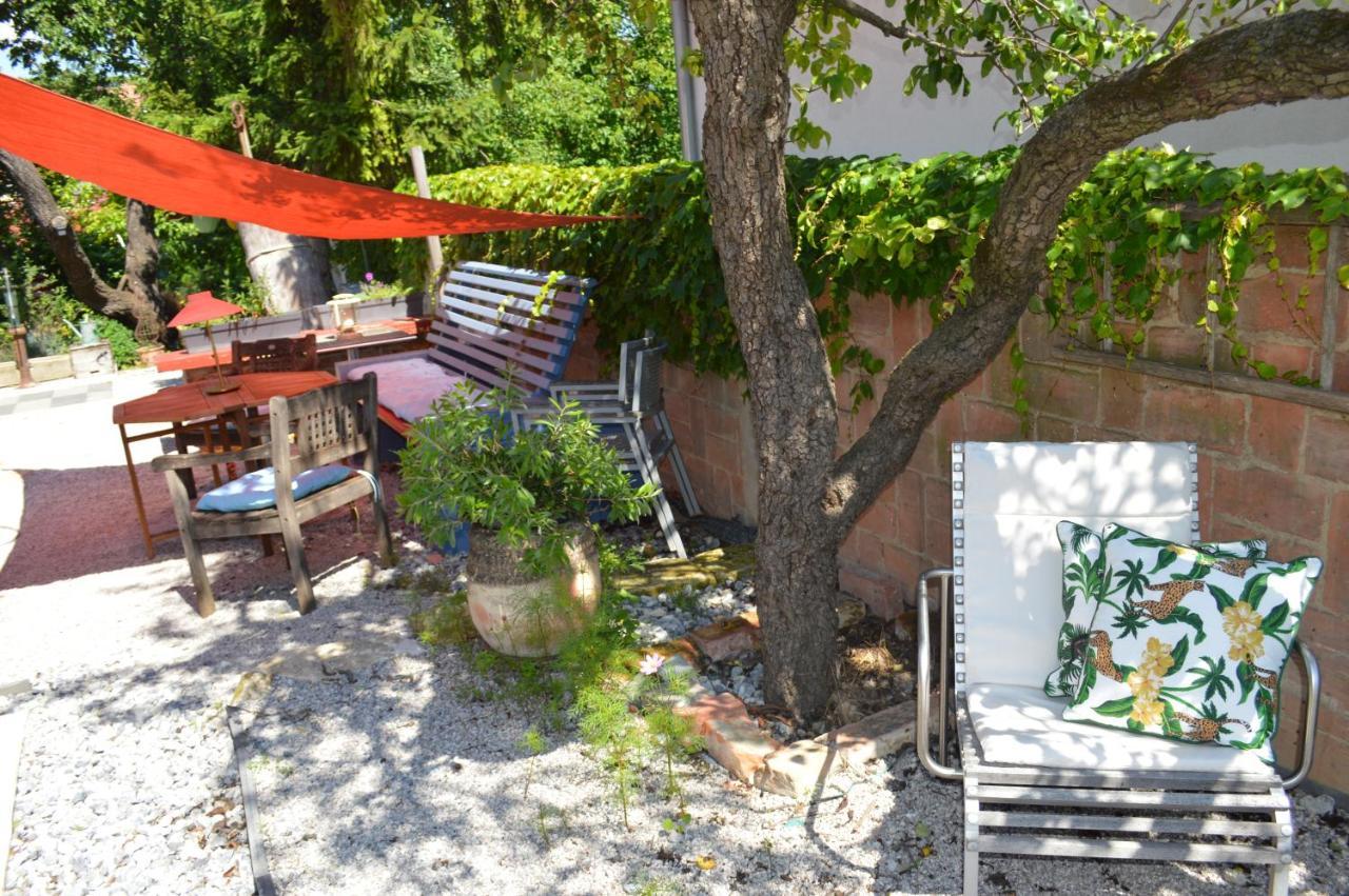 Das Nest — Eisenstadt — photo 2