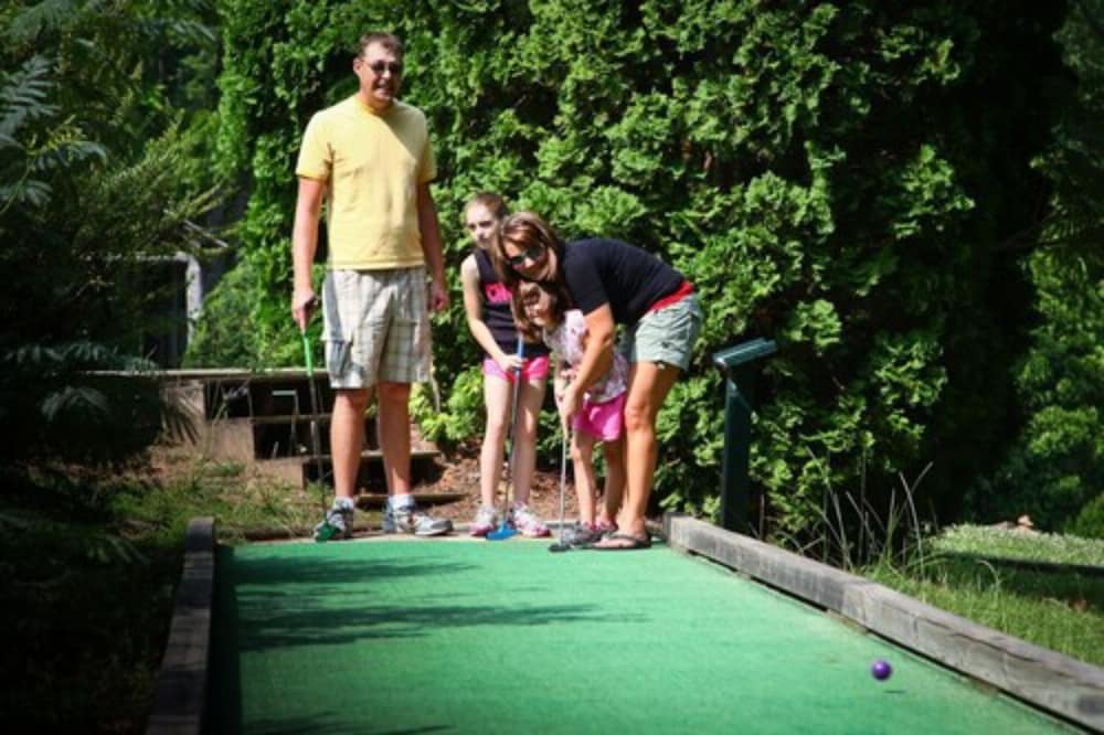 Fontana Village Resort - photo 13