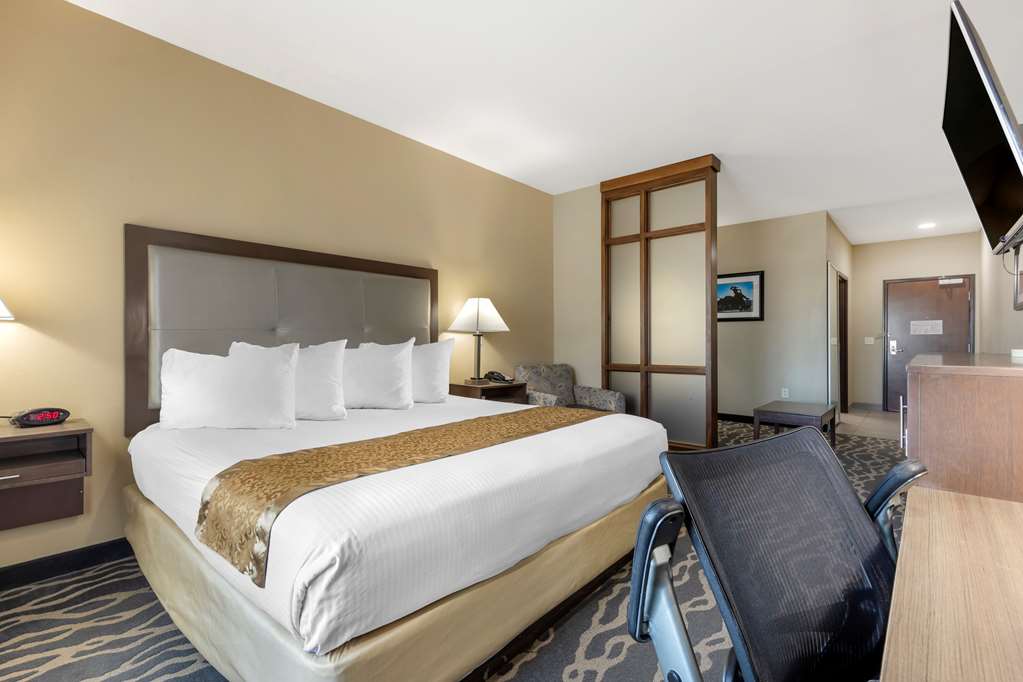 Best Western Plus Fort Stockton Hotel - photo 18