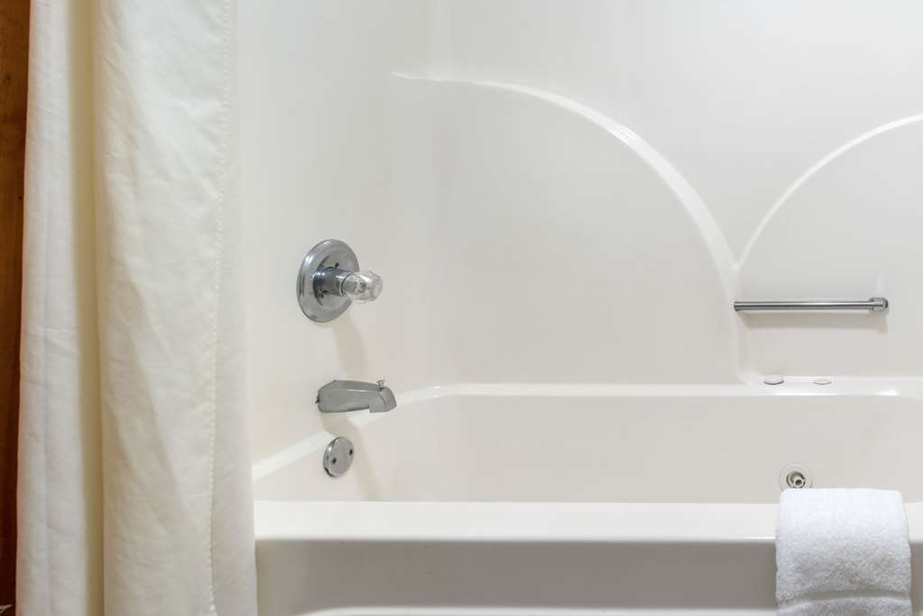 Quality Inn Bloomington near University - photo 19
