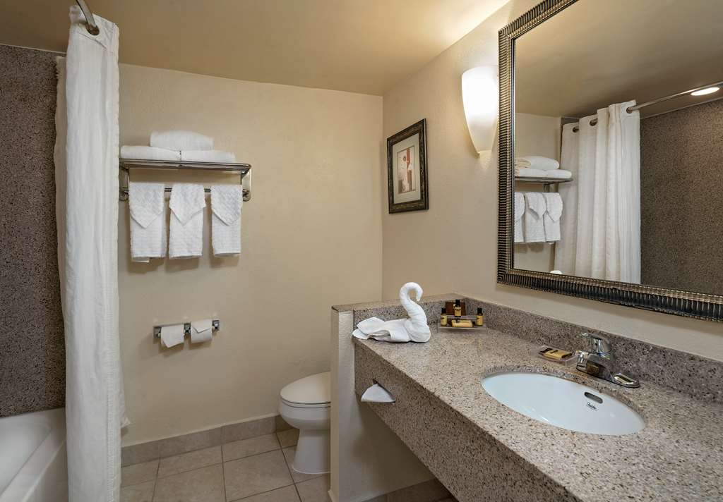 Best Western Plus Hotel & Conference Center - photo 28