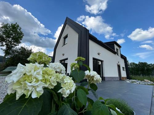 Black & White Houses in Niedzica, Poland