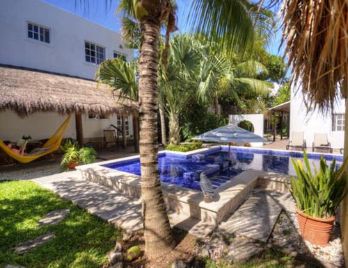 Villa Escondida B&B Cozumel Downtown — 4-Star Luxury Hotel in Cozumel, Mexico