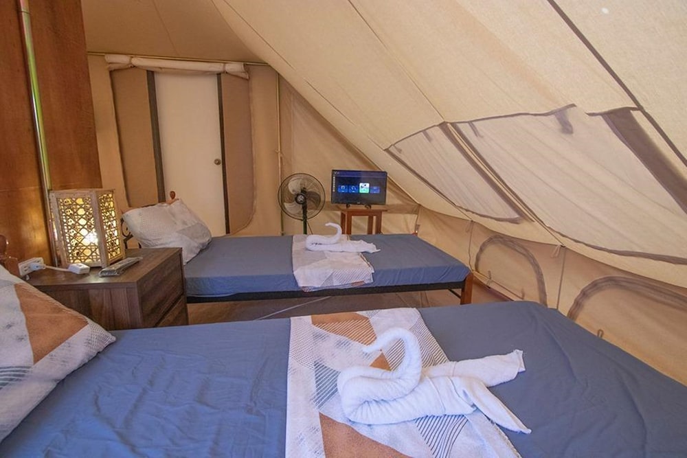 The Acacia Glamping Park — Carmen — photo 5