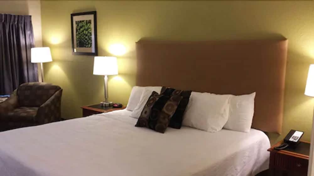 Wingfield Inn - photo 11