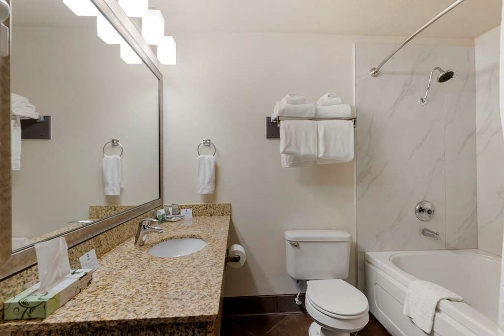 Best Western Pony Soldier Inn Airport - photo 23