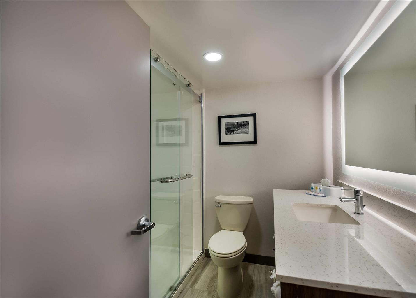 Comfort Inn Falls Church Tysons Corner - photo 15