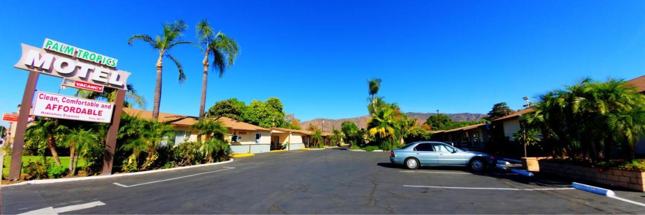 Palm Tropics Motel - photo 8