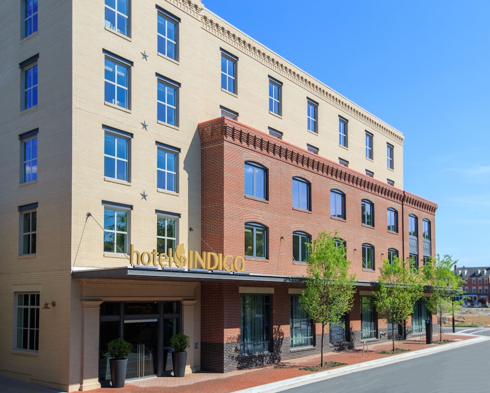 Hotel Indigo Old Town Alexandria by IHG - photo 4